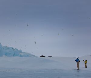 Two people standing on the snow watch a swarm of birds