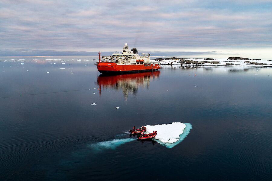 A ship sits on a glass like sea while two smaller boats nose a small ice berg out the way