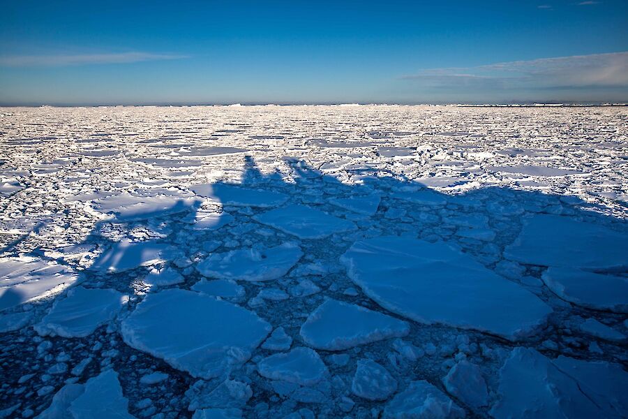The sea covered in slush and ice pancakes.  The shadow of the Nuyina casts on to the ice.