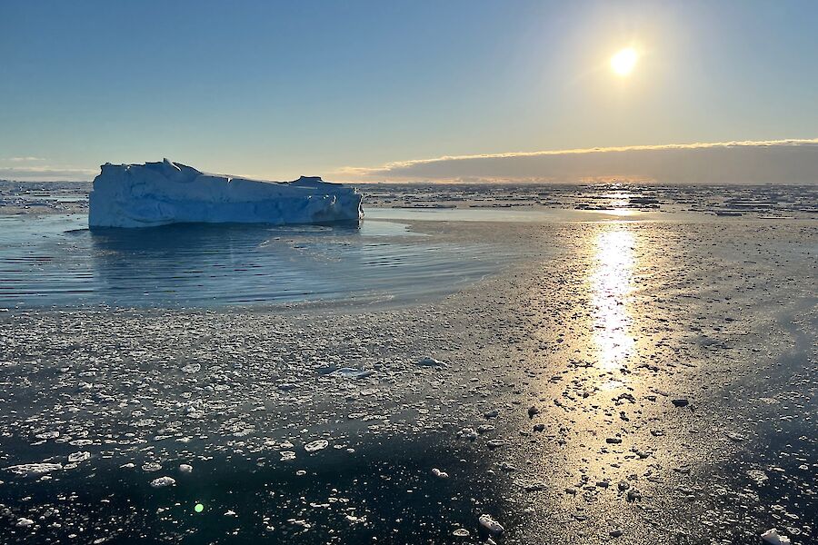 A loan iceberg sits in an icy sea with the sun high in sky above, casting a reflection on to the sea