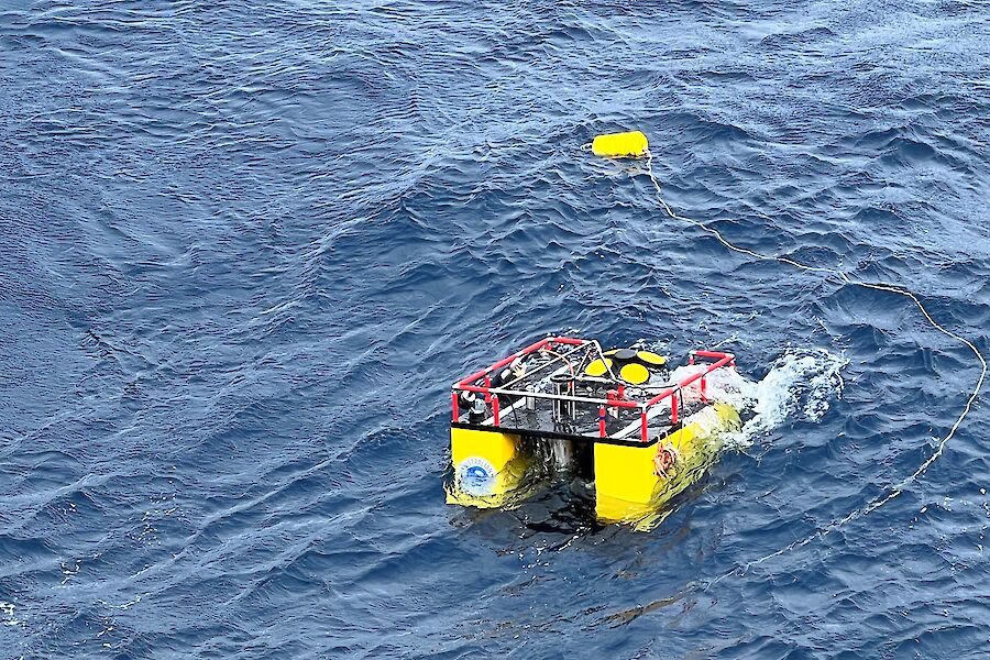 A yellow object bobs on the surface of the sea