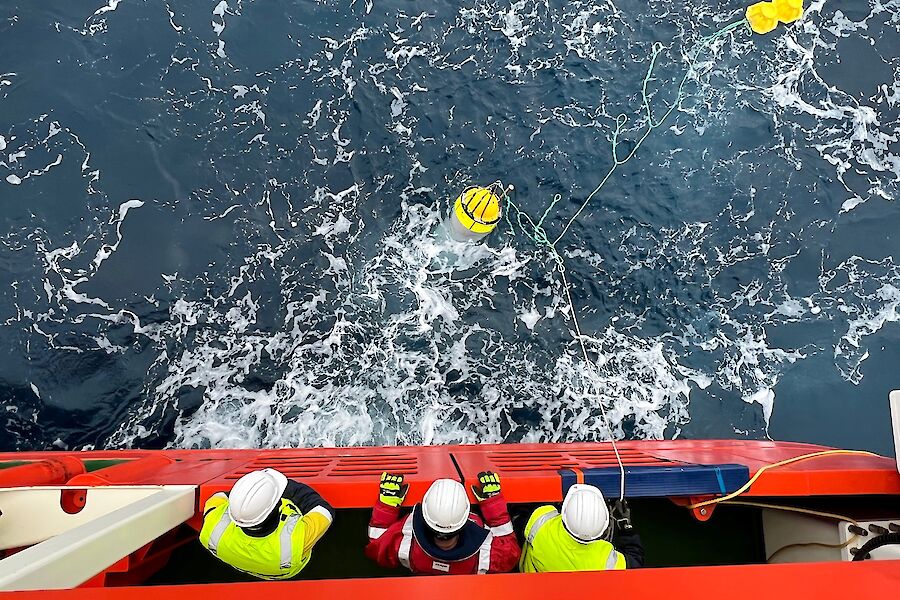 3 people look over the side of a ship towards yellow floats bobbing in the water