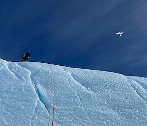 Looking up an ice cliff to blue skies with white bird flying above