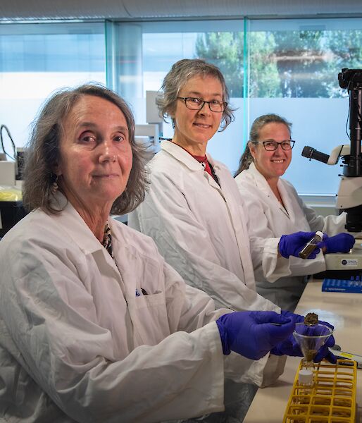 Three women scientists in lab coats at a research bench.