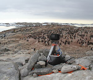 A camera mounted on a tripod overlooking a penguin colony.