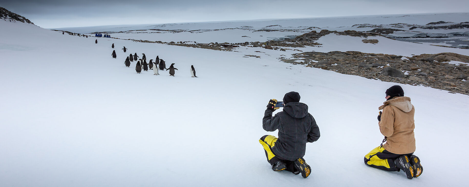 Two expeditioners taking photos of penguins in Antarctica