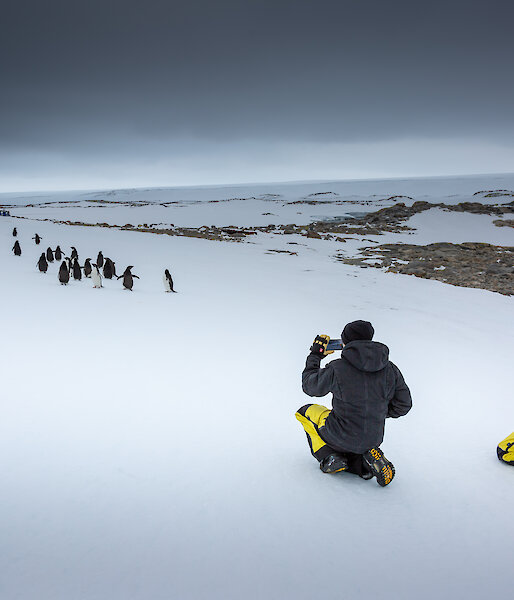 Two expeditioners taking photos of penguins in Antarctica