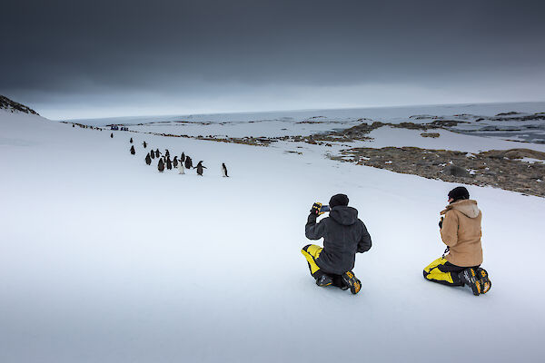 Two expeditioners taking photos of penguins in Antarctica