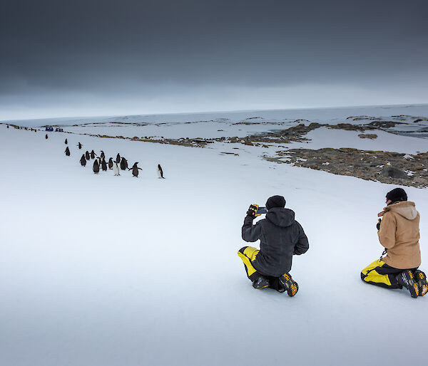 Two expeditioners taking photos of penguins in Antarctica