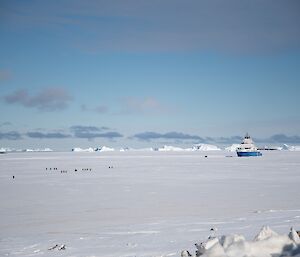 Group of people walking on sea-ice towards a blue icebreaker