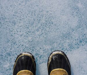 Two brown boots on ice