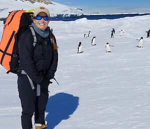 A person standing on snow in foreground group of penguins in background