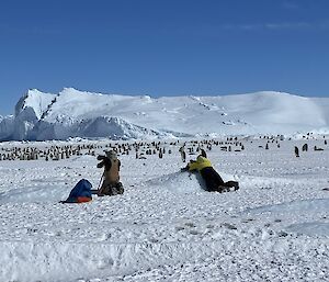 Two people lie quietly in the snow observing penguins with cameras