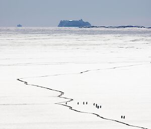 A crack in the ice is lined by penguins