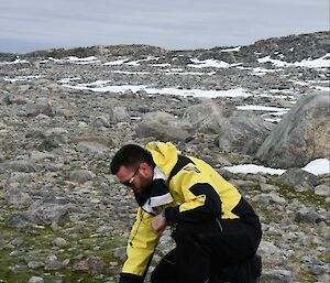 Person picking up penguin faeces kneeling on rocks