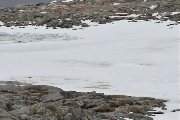 People walking over rocks and snow