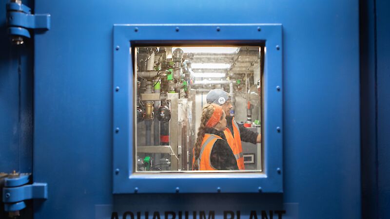 A man and a woman in hi vis stand inside a shipping container that serves as an aquarium for krill