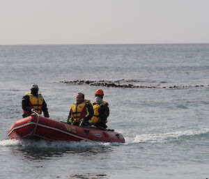 Three people on an IRB boat in shallow waters