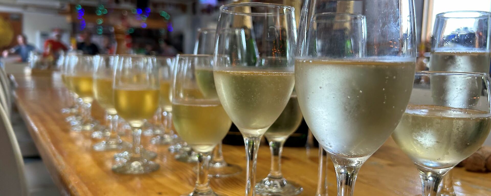 A close up of glasses of white wine