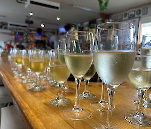 A close up of glasses of white wine