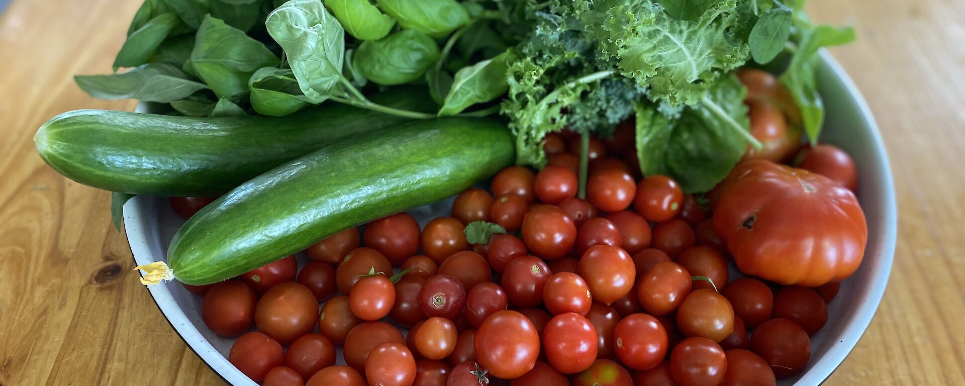 A bowl of hydroponically grown food sits on a wooden table