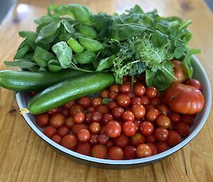 A bowl of hydroponically grown food sits on a wooden table