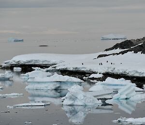 Icebergs floating on the water