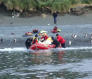 A group of people launch a small boat form a grey pebbly beach while penguins watch on