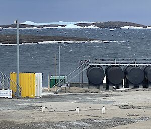 Three penguins stand in front of station equipment and rough weather in the bay behind