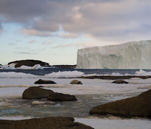 Three seals float by on an iceberg