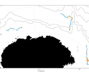 Four lines indicative of whale tracks, plotted on a map of the ocean surrounding East Antarctica.