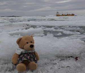 A teddy bear sitting on some sea-ice with a yellow cargo ship in the background