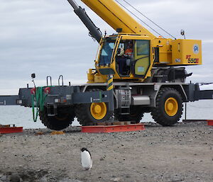 A lone penguin standing in the foreground on a wharf with a yellow crane in the background.