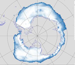 A Nilas screen shot of the monthly sea-ice concentration around Antarctica, showing white areas that indicate 100% sea-ice concentration.