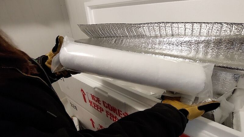 A person holds a metre long ice core near a freezer