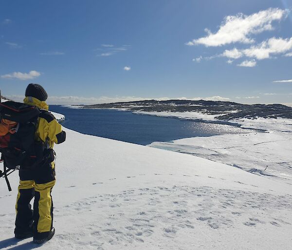 Person with large backpack and ice-axe looks down on blue bay with penguins on ice in the background.