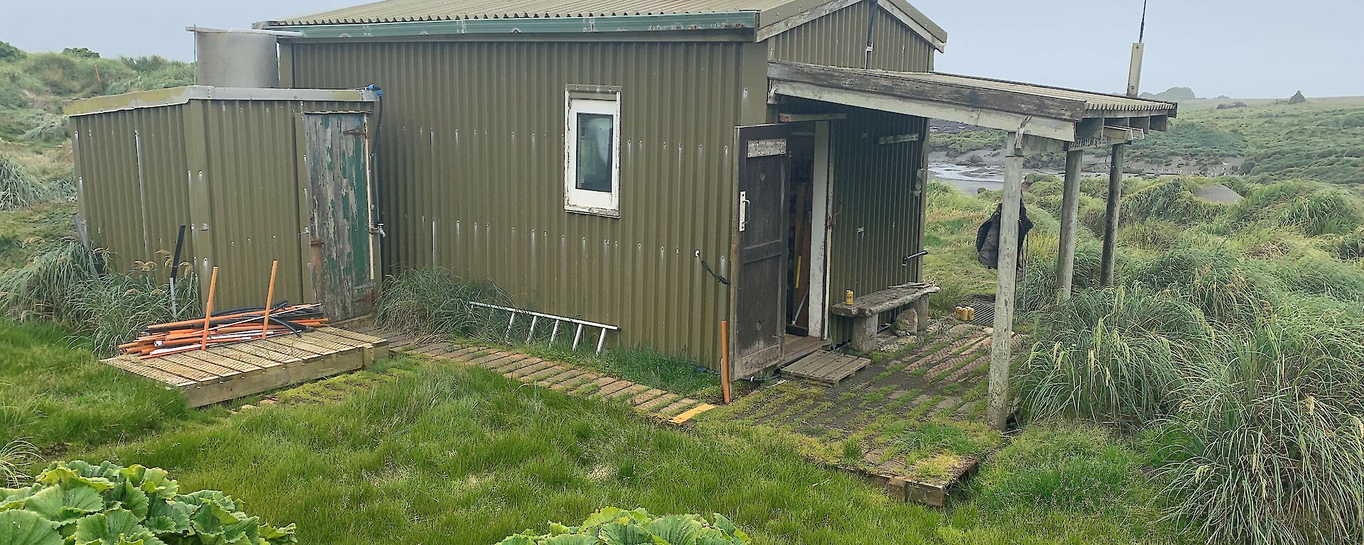 An old green hut sits surrounded by green growth