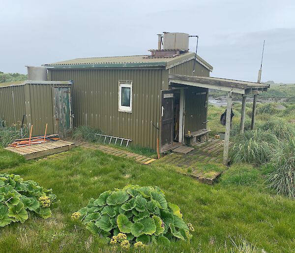 An old green hut sits surrounded by green growth