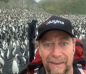 A man in a hi vis shirt stands in front of a penguin colony