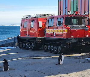 Two penguins in front of a red Hägglunds vehicle