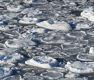 Ice shaped like round pancakes is covering an area of water, with very little gaps in between.