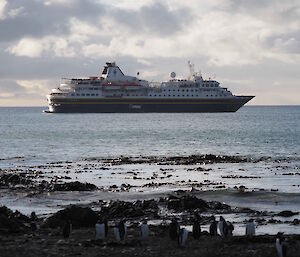 Tourist ship in Buckles Bay