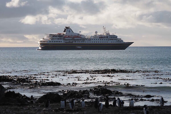 Tourist ship in Buckles Bay