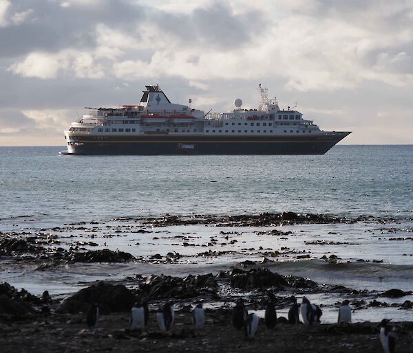 Tourist ship in Buckles Bay