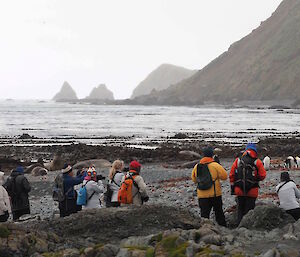 Visitors enjoying seeing elephant seals and king penguins