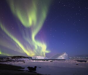 An aurora stretches through the sky above two icebergs