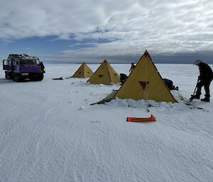 Three yellow pyramid shaped tents in the snow with a Hagglunds vehicle parked beside