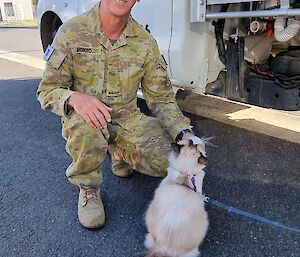 A man in a soldier's uniform is crouched down scratching a cat under the chin. The long-haired cat has a leash on it.