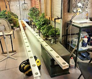 A hydroponic room with lettuces and additional equipment being constructed