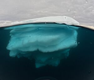 This photo is a cross section of an iceberg. The majority of the white chunk of iceberg is below the waterline and refracting the blueish colour of the water. There is a thin smooth section of ice above the waterline. The sky is grey and cloudy.